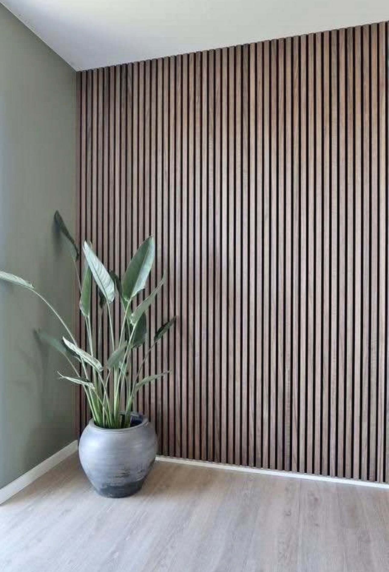 Walnut slat accent wall against a sage-green wall with a large potted plant, no television.